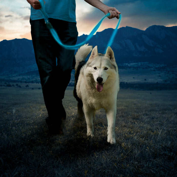 Nite Ize LED Dog Leash 48" - Blue
