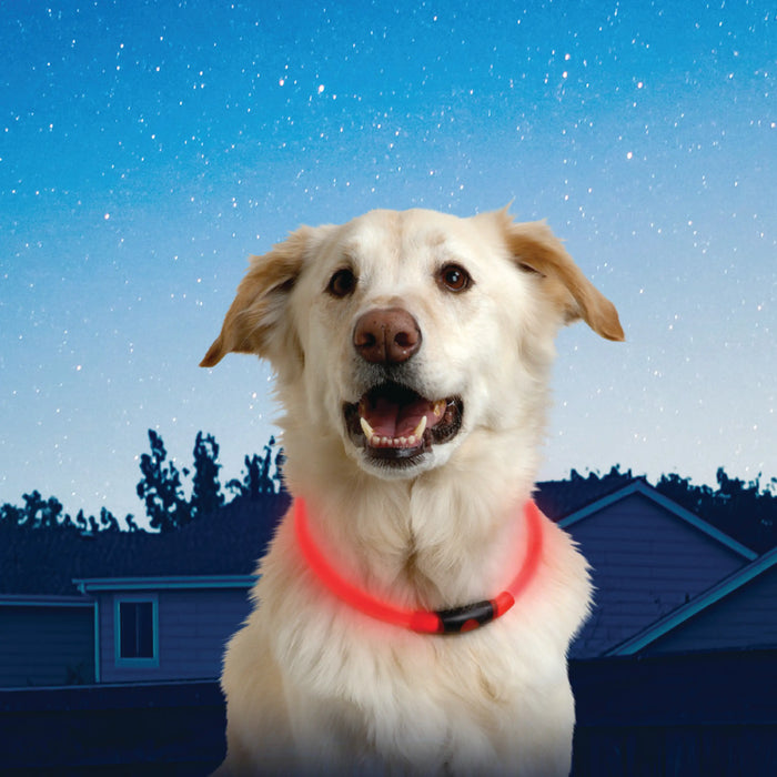 Nite Ize Dog LED Safety Necklace - Red