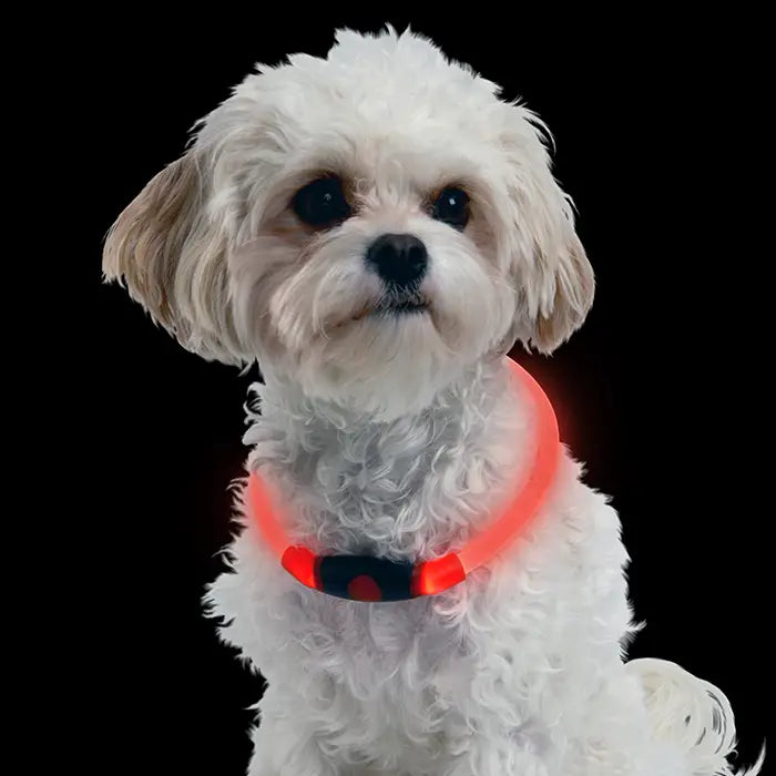 Nite Ize Dog LED Safety Necklace - Red