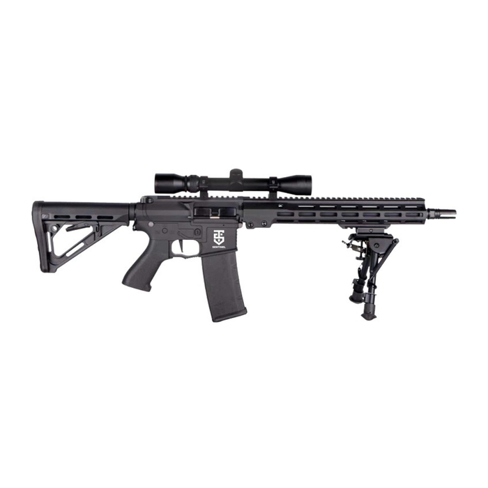 Rossi Sentinel 12" Upsilon - Bundle
