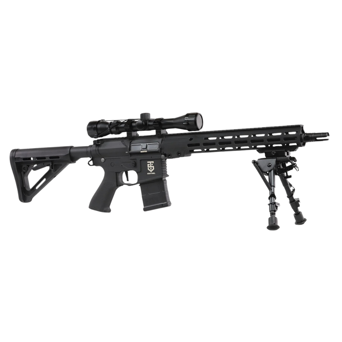 Rossi Sentinel 12" Upsilon - Bundle