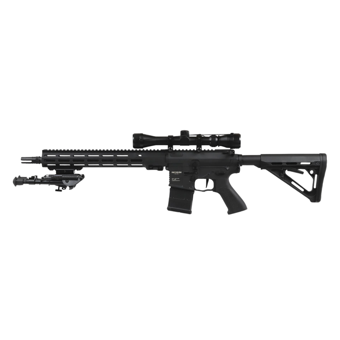 Rossi Sentinel 12" Upsilon - Bundle