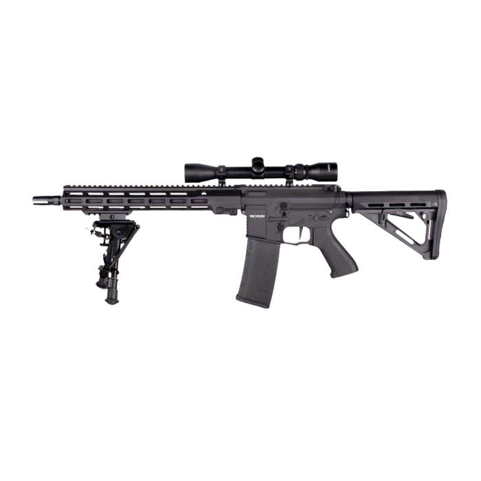 Rossi Sentinel 12" Upsilon - Bundle