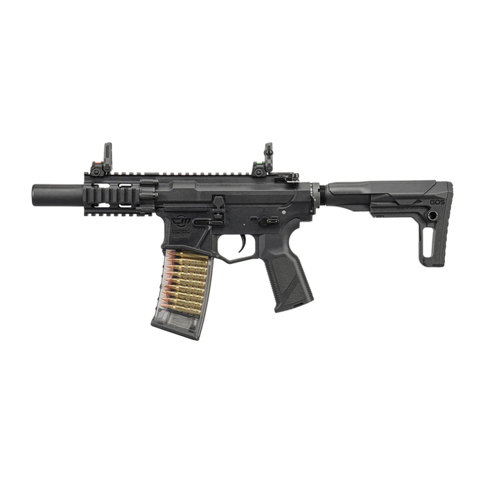 G&G CM16 GMS SBR