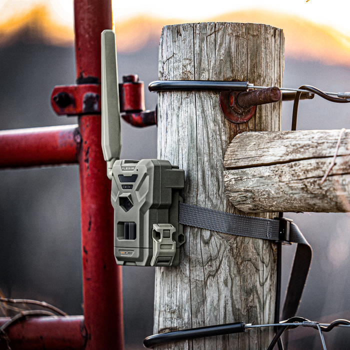 Spypoint FLEX-M Trail Camera