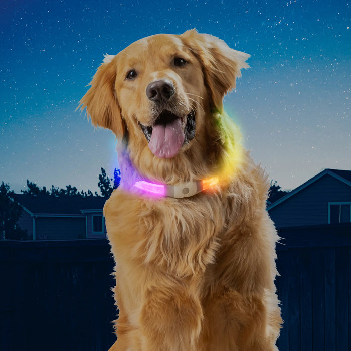 Nite Ize Dog Disco LED Safety Light
