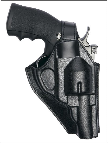 ASG Dan Wesson Belt Holster For 2.5"/4" Revolver